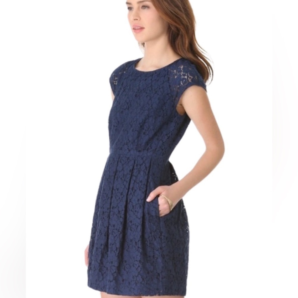 Madewell Women's Blue Lacebloom Fit flare Dress Size 4